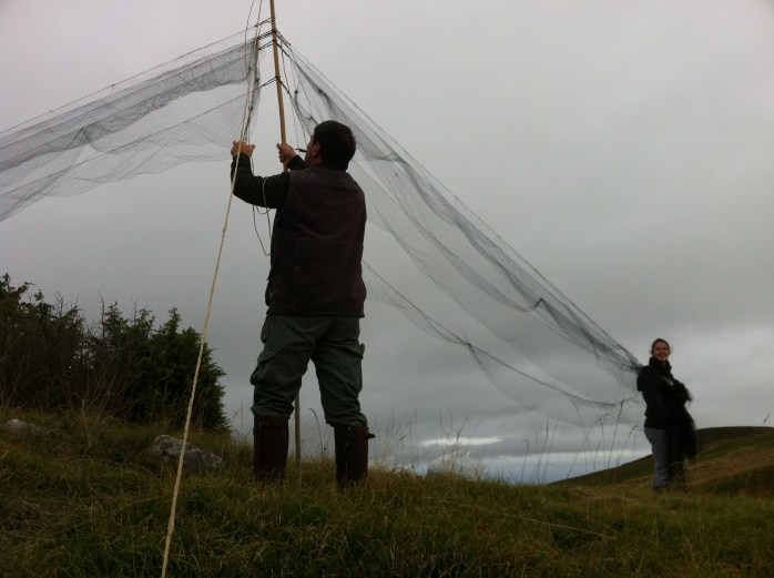 Le operazioni di montaggio