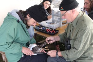 IMG_3217sparvio_tita_marty_valerio