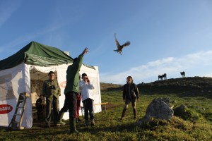 IMG_3230liberazione_sparvio