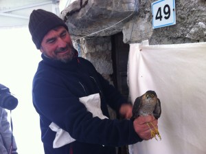 IMG_8330sparvio_m_landucci