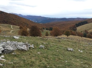 IMG_0790faggeta10ott