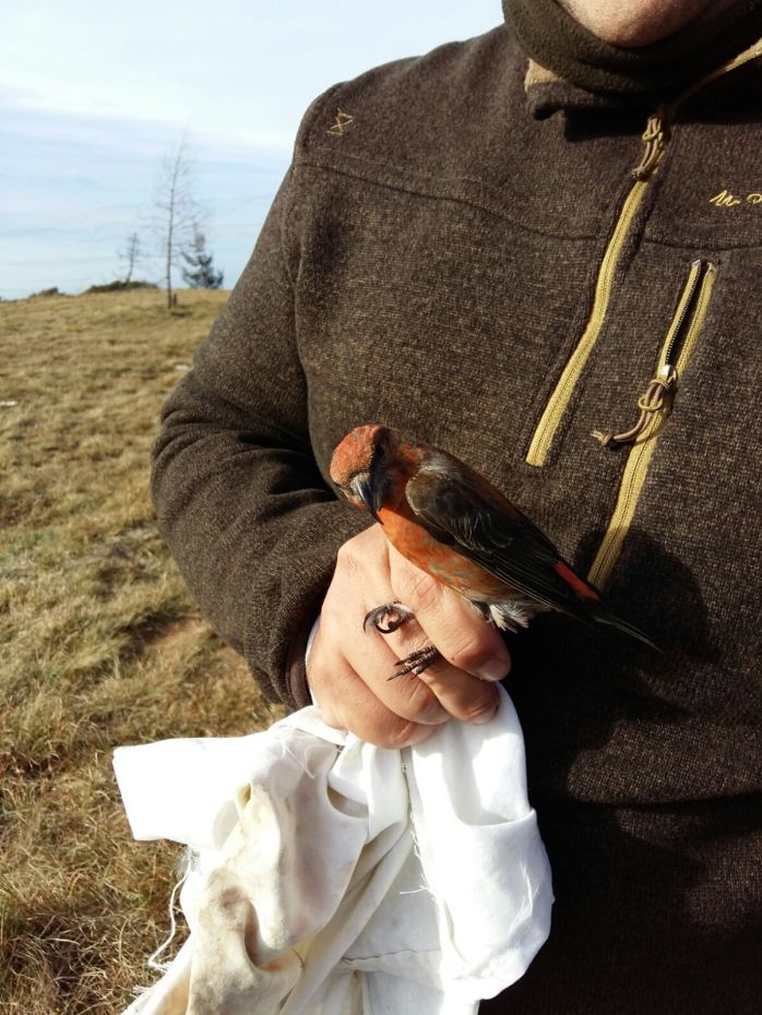 WhatsApp Image 2017-10-29 at 21.17.35.jpeg