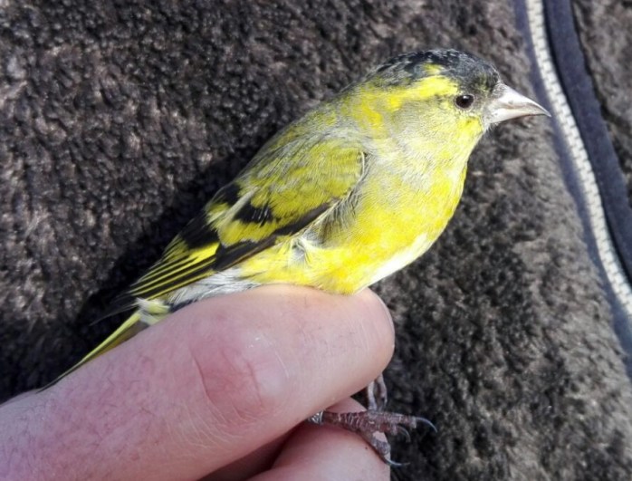 WhatsApp Image 2017-10-31 at 16.28.24